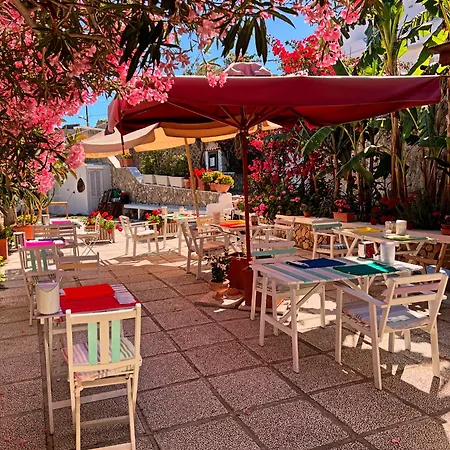 Pina Ponza